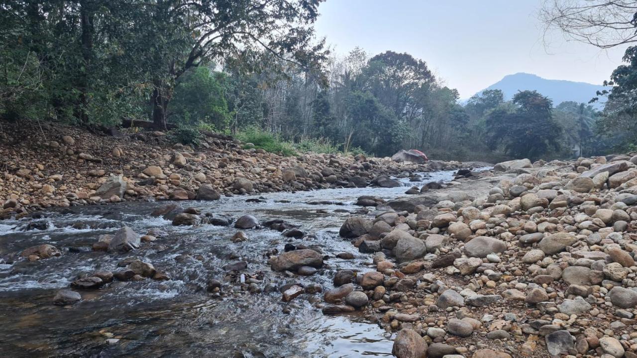 Ponmudi Dale. Homestay Kallar  Exterior photo