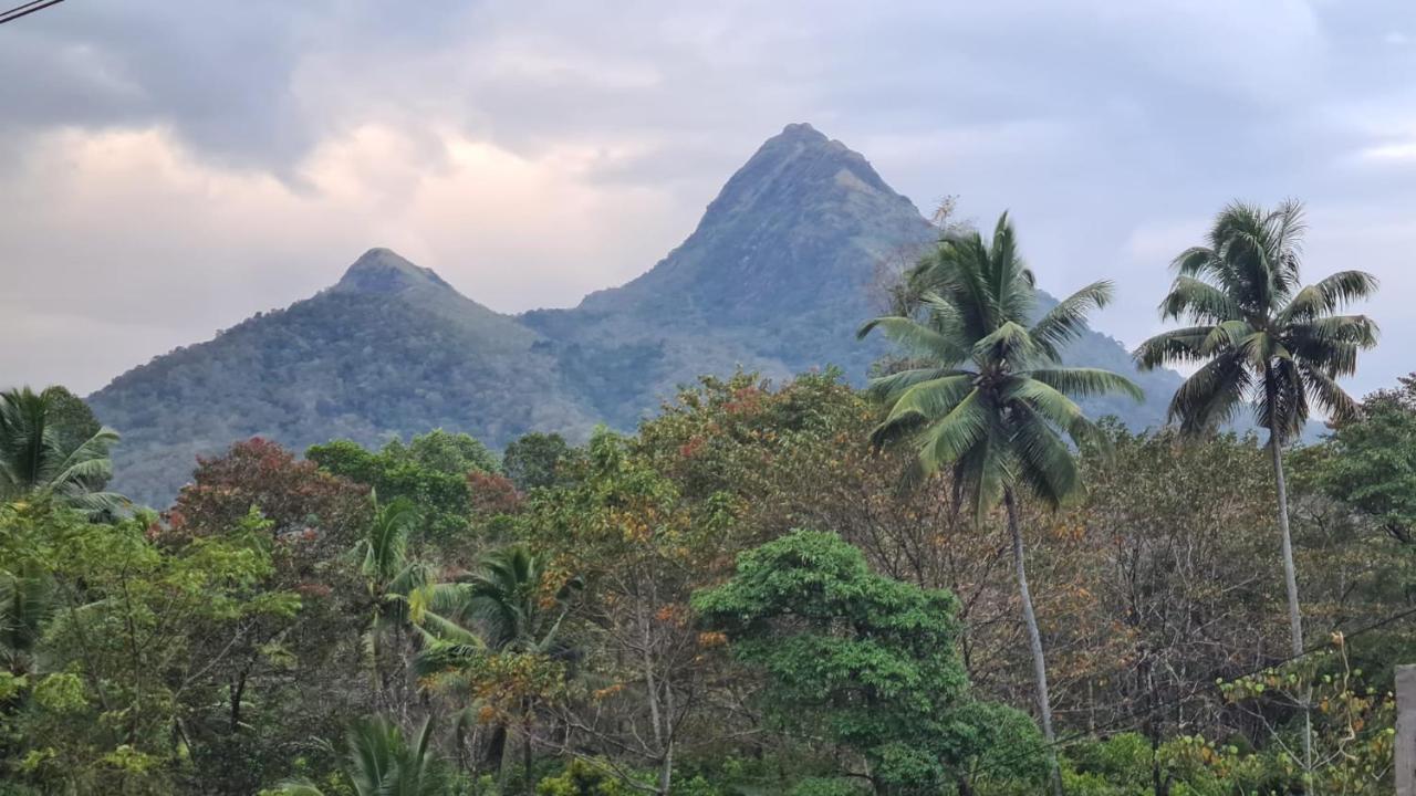 Ponmudi Dale. Homestay Kallar  Exterior photo