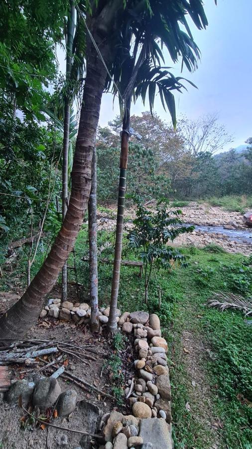 Ponmudi Dale. Homestay Kallar  Exterior photo