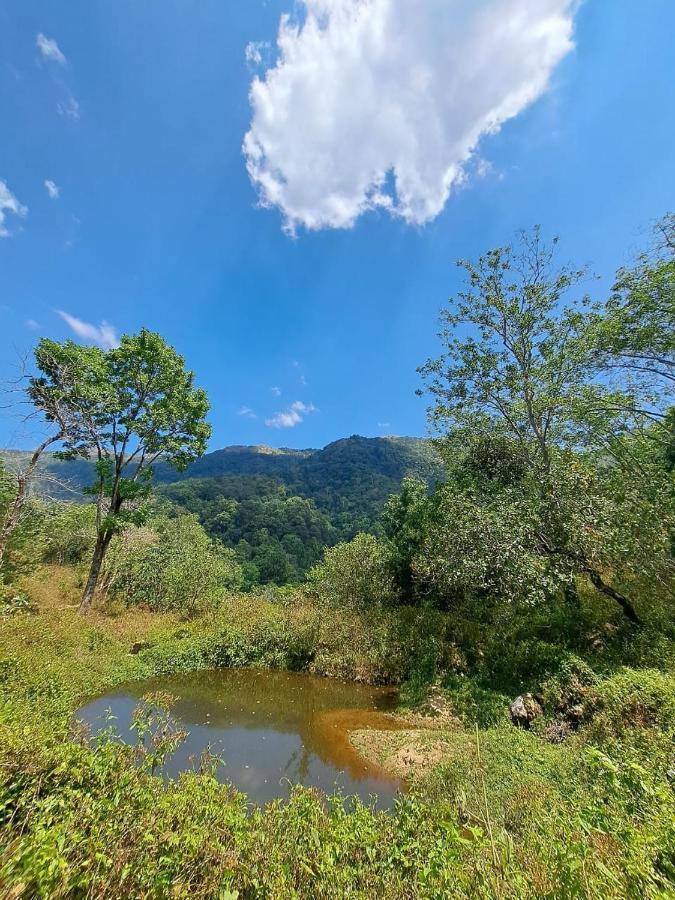 Ponmudi Dale. Homestay Kallar  Exterior photo